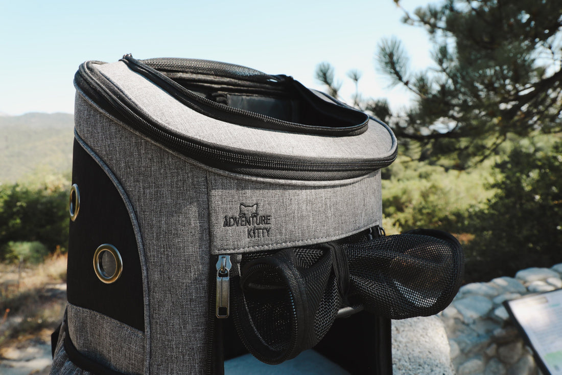 Adventure Kitty backpack in the outdoors