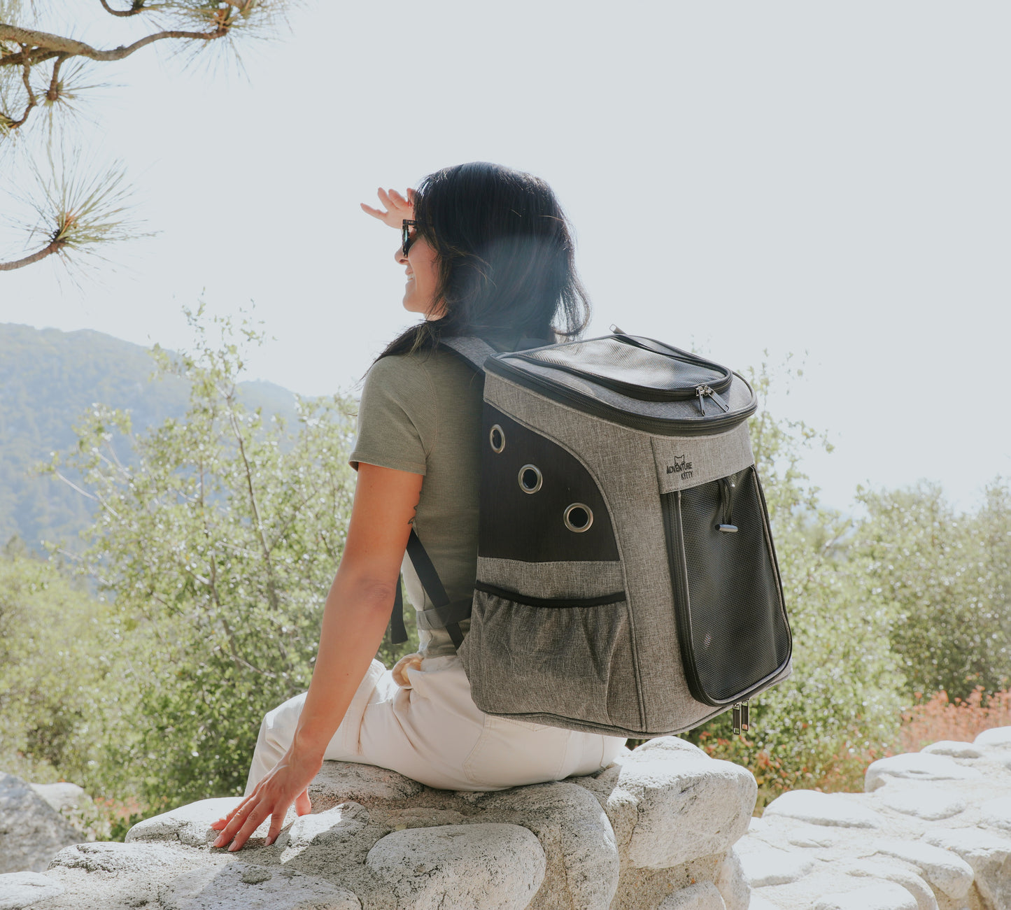 THE “SIGHTSEER” CAT BACKPACK