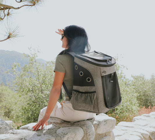 THE “SIGHTSEER” CAT BACKPACK