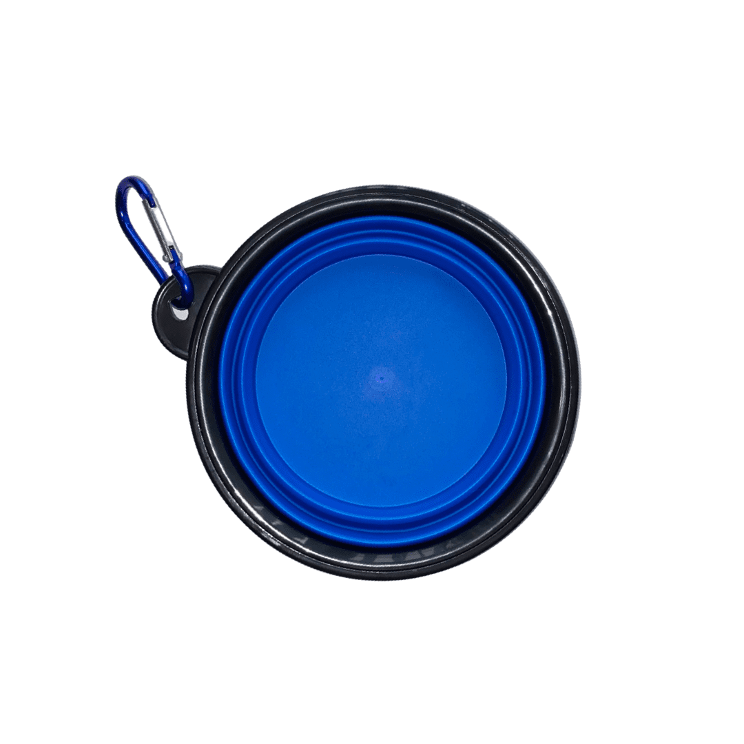 COLLAPSIBLE CAT BOWL