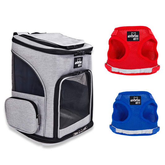 KITTEN CAT BACKPACK BUNDLE