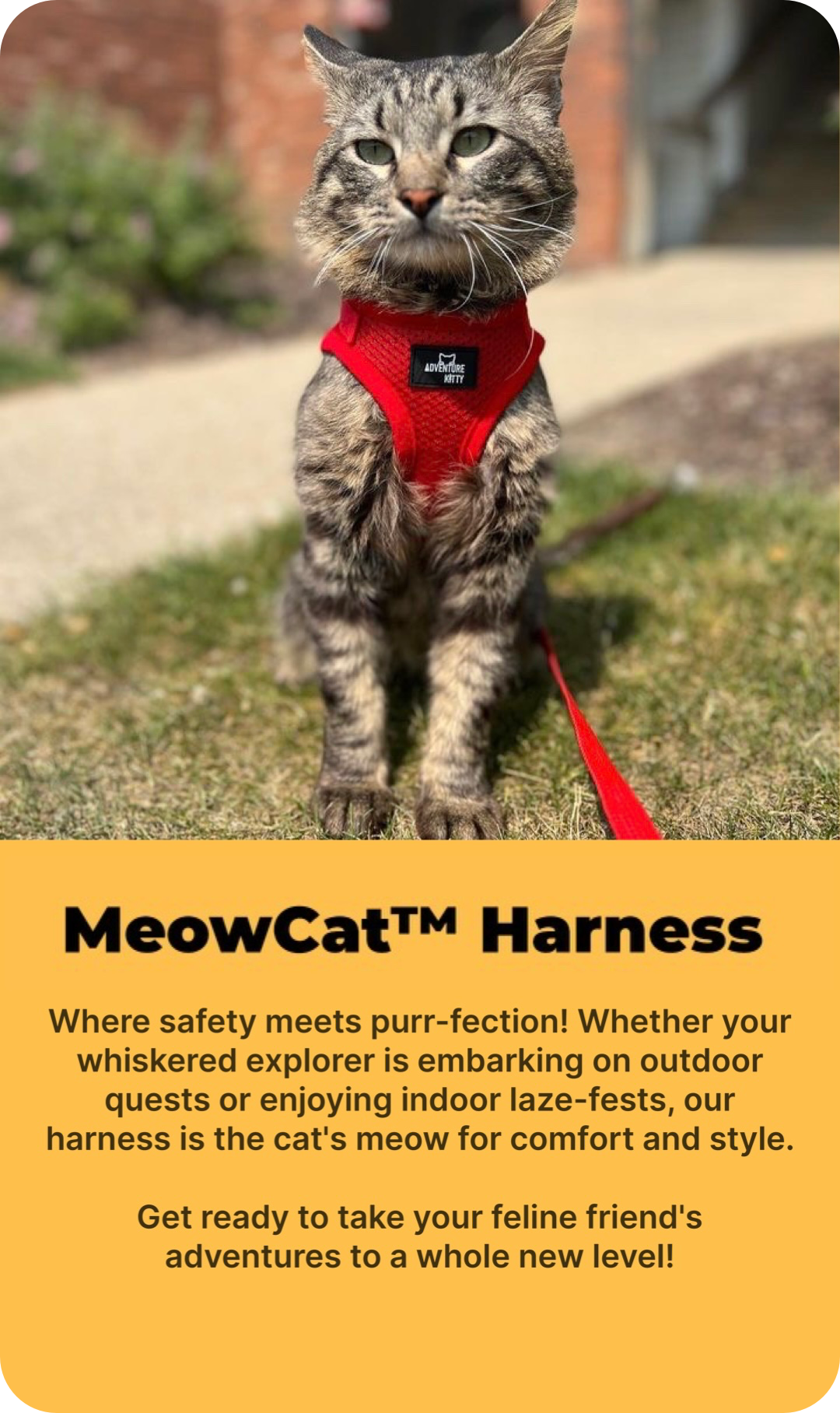 Backpacking Kitty Adventure Kitty | Cat Backpacks & Supplies