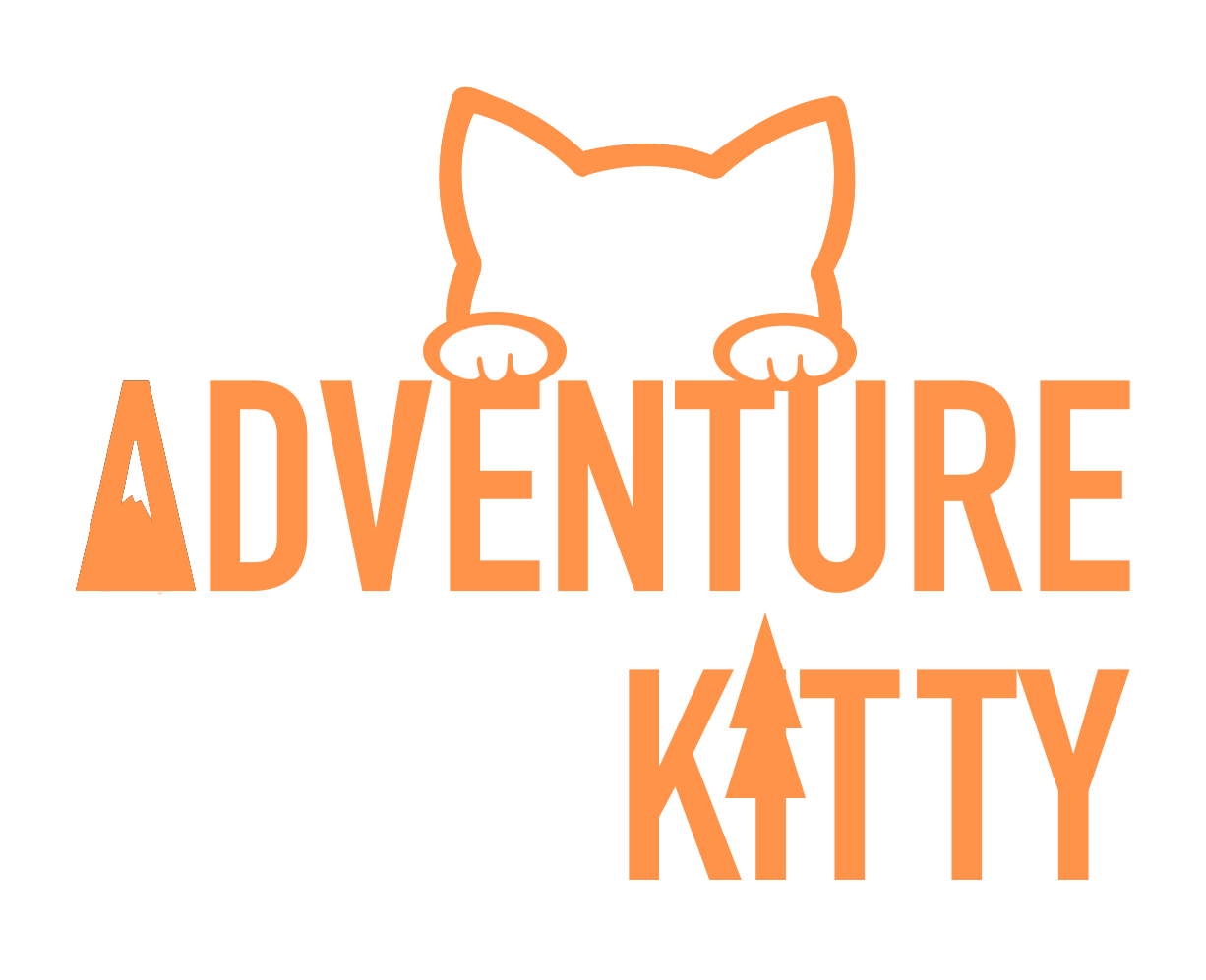 Adventure Kitty