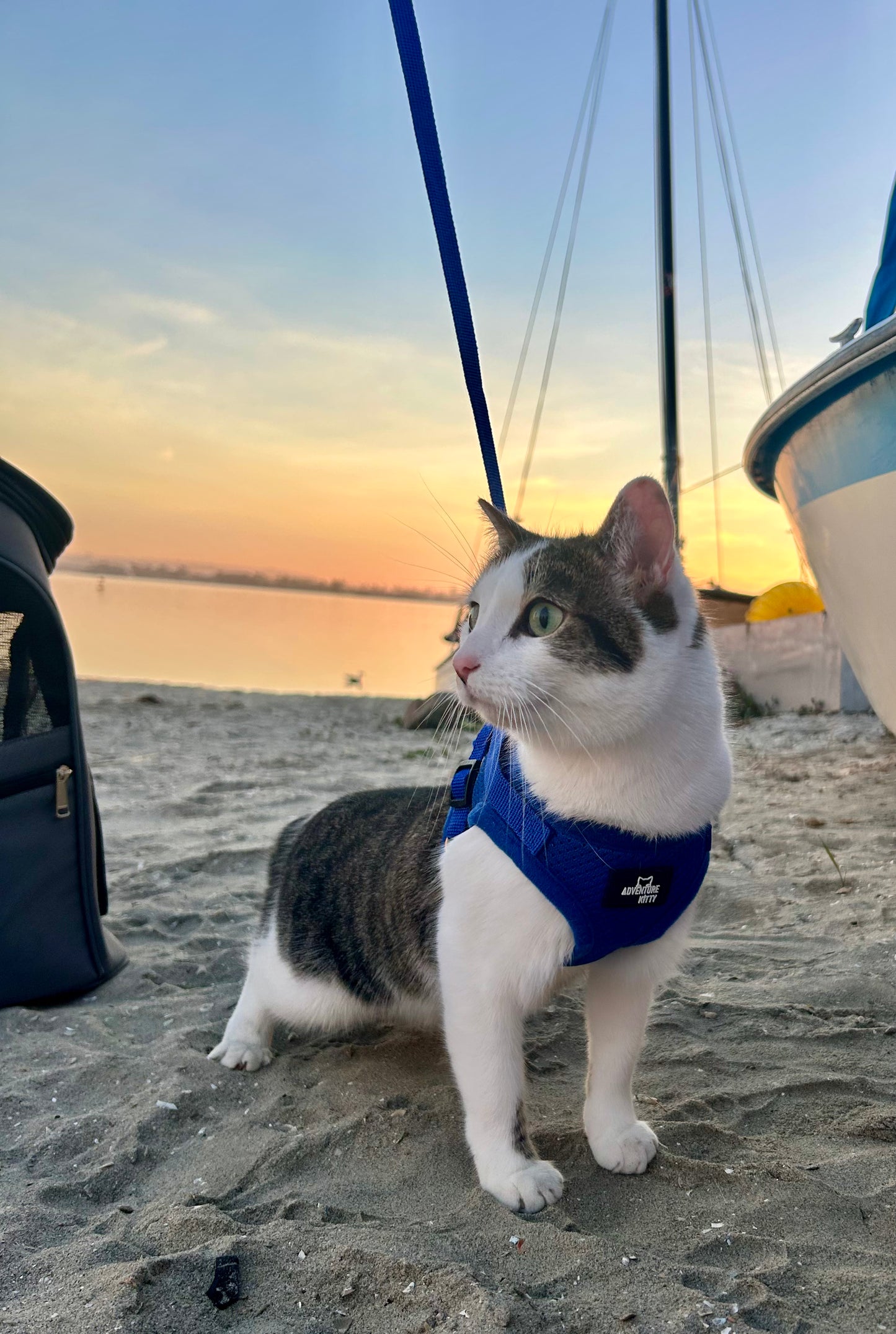 THE MEOWCAT HARNESS AND LEASH