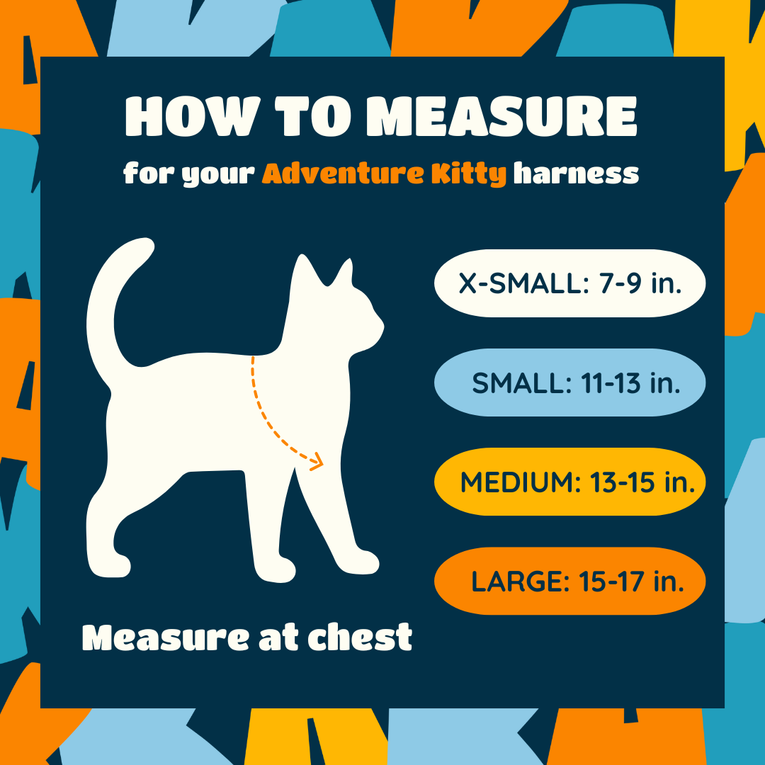 THE MEOWCAT HARNESS AND LEASH